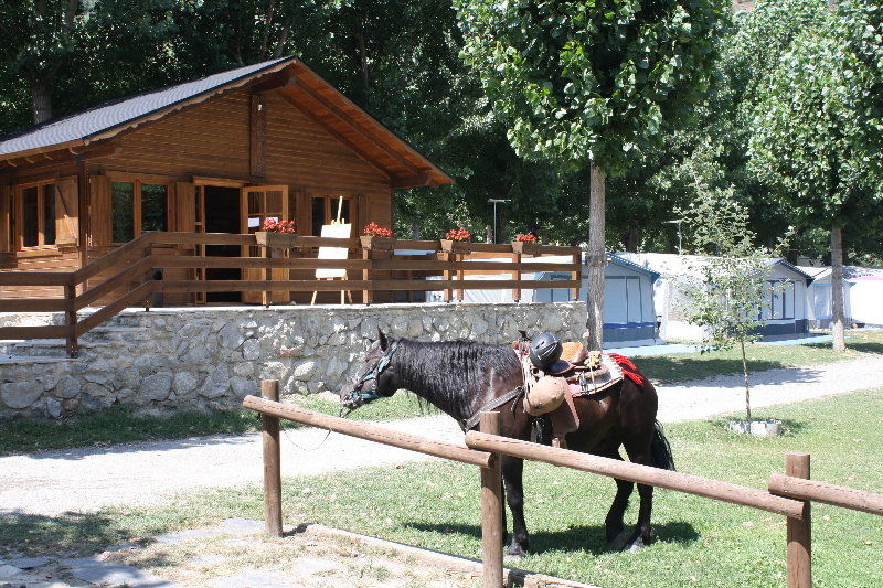 Bungalows Nou Camping La Guingueta D'Aneu Dış mekan fotoğraf